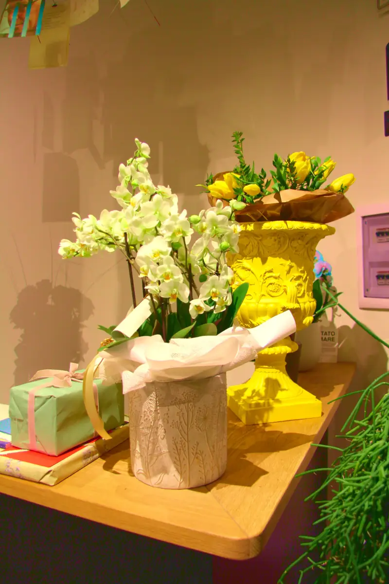 Addobbi floreali del salone MC Parrucchieri Addobbi floreali del salone MC Parrucchieri